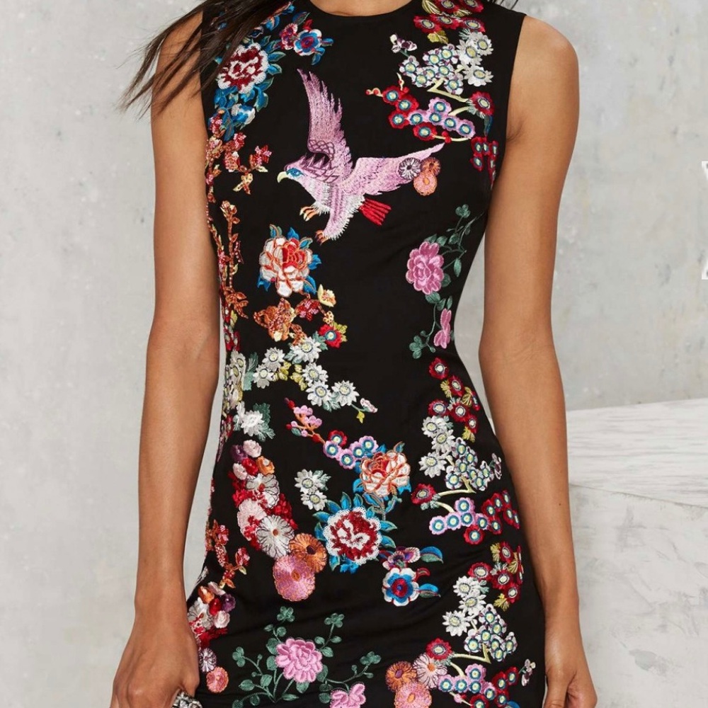 Nasty Gal “Take Flight” Embroidered Shift Dress L